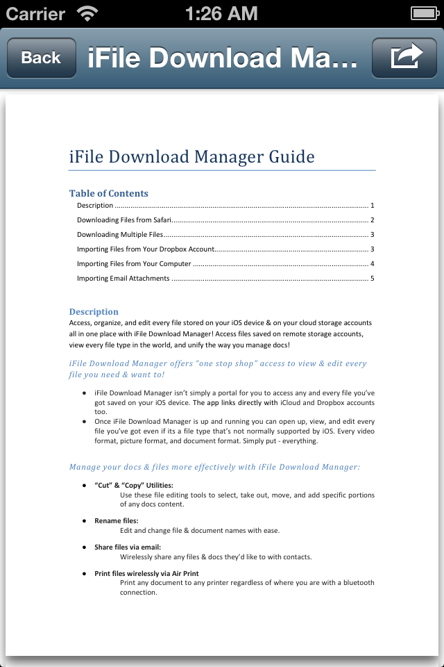 iFile Download Manager iPhone